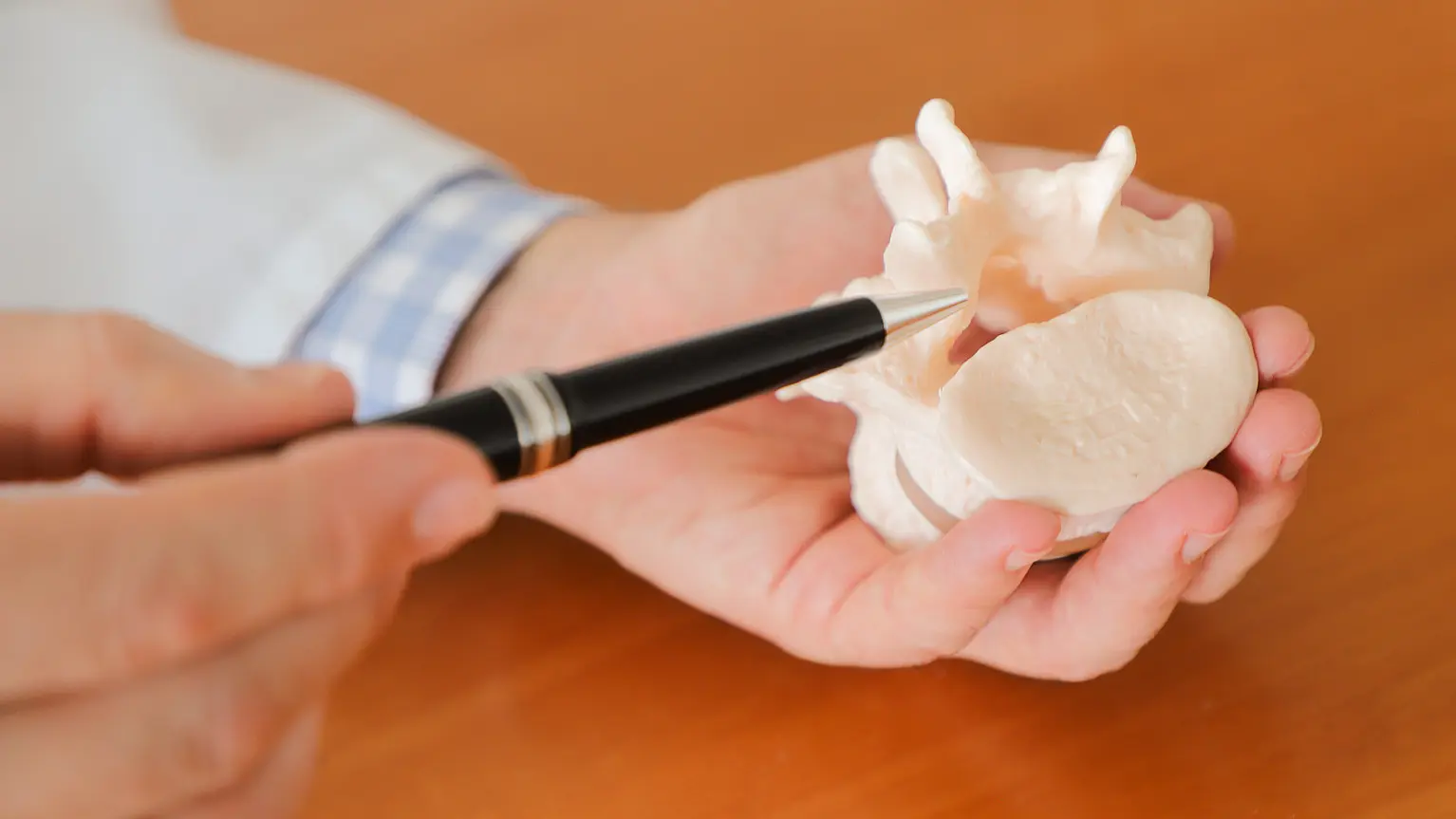 In einer Hand liegt ein Wirbelmodell. Die Person zeigt mit einem Stift auf das Modell.