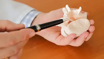 Hand hält ein Wirbelsäulenmodell, ein Stift zeigt auf einen Wirbel zur medizinischen Erklärung.