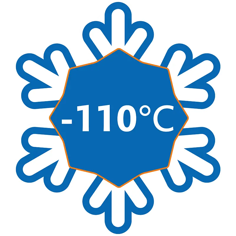 Grafische Zeichnung einer Schneeflocke, in der Mitte ist die Gradzahl von -110 Grad Celsius zu lesen.