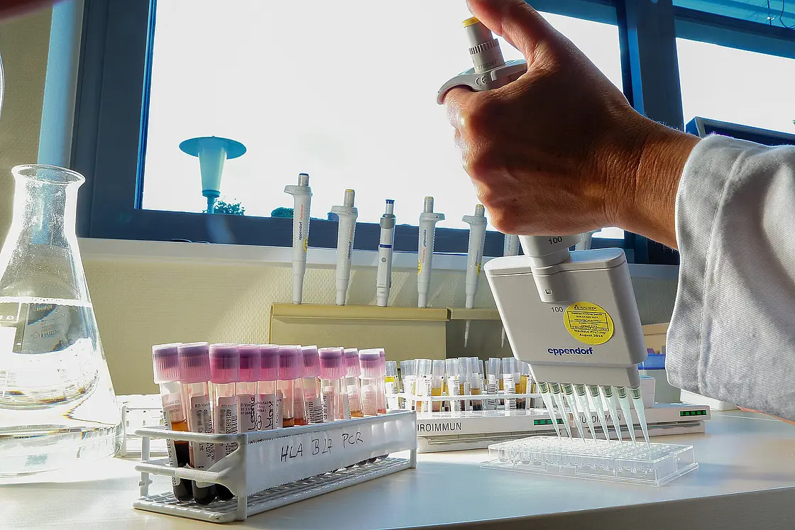 Eine Hand mit Mehrkanalpipette pipettiert Flüssigkeiten in eine Kunststoffplatte; im Hintergrund stehen weitere Probenröhrchen.