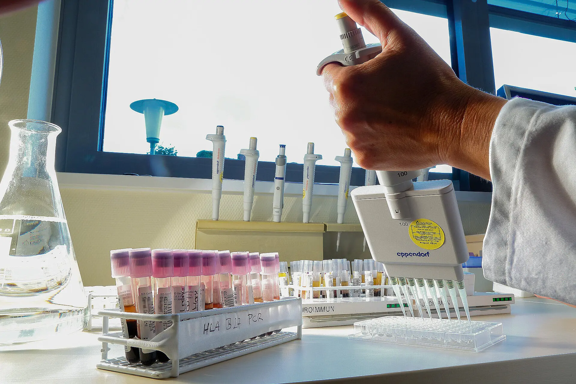 Eine Hand mit Mehrkanalpipette pipettiert Flüssigkeiten in eine Kunststoffplatte; im Hintergrund stehen weitere Probenröhrchen.