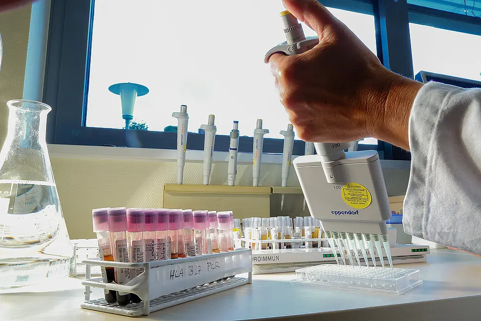 Eine Hand mit Mehrkanalpipette pipettiert Flüssigkeiten in eine Kunststoffplatte; im Hintergrund stehen weitere Probenröhrchen.