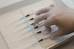Fertige Injektionen mit dem Biontech-Impfstoff